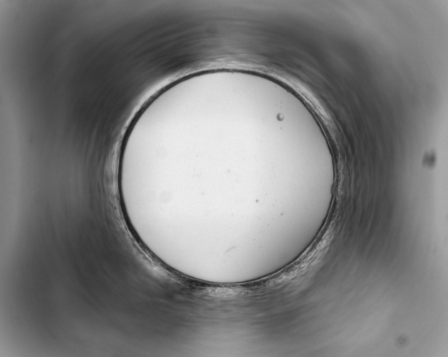 X0000103491246200810031558