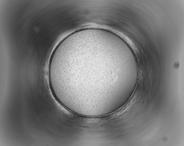 X0000103491247200810031558