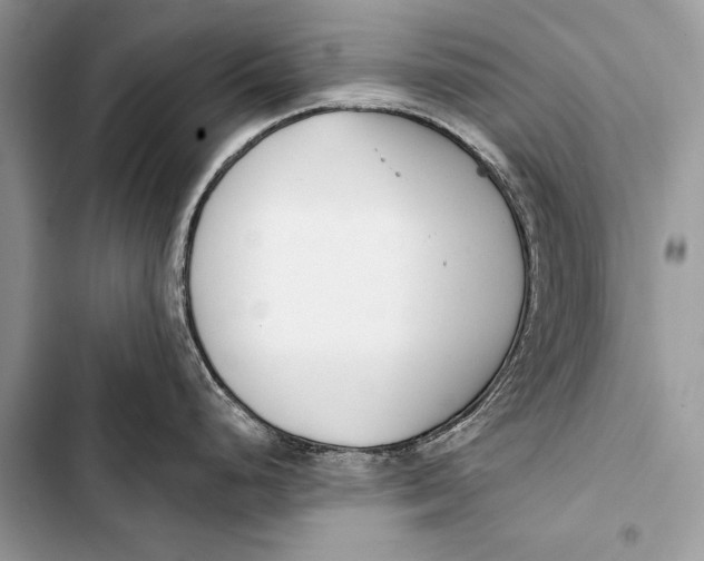 X0000103491248200810031558