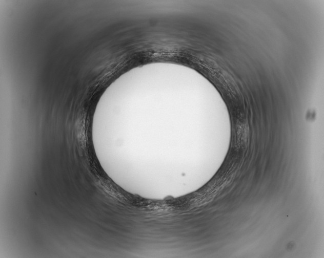 X0000103491250200810031557