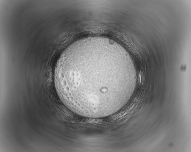 X0000103491251200810031557