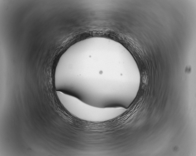 X0000103491252200810031557