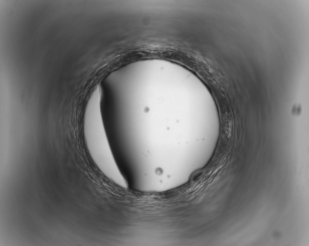 X0000103491253200810031557