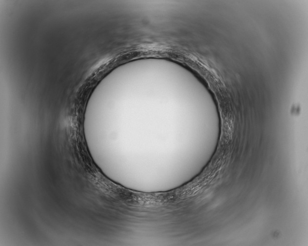 X0000103491254200810031557