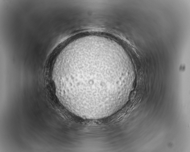 X0000103491255200810031557