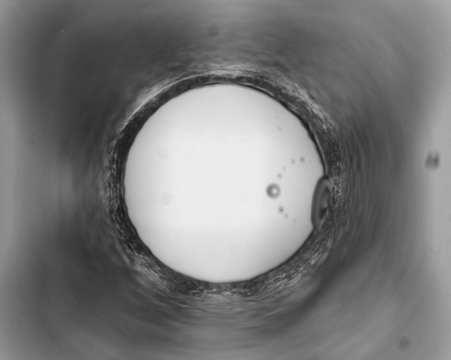 X0000103491256200810031557