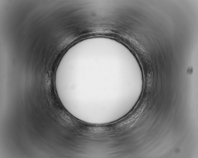 X0000103491257200810031557