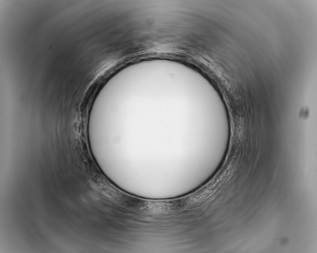 X0000103491258200810031557