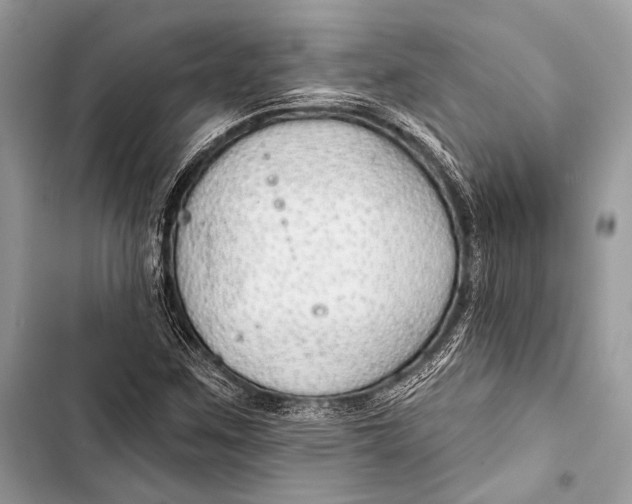 X0000103491259200810031557