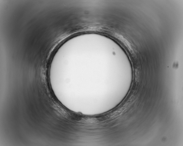 X0000103491260200810031557