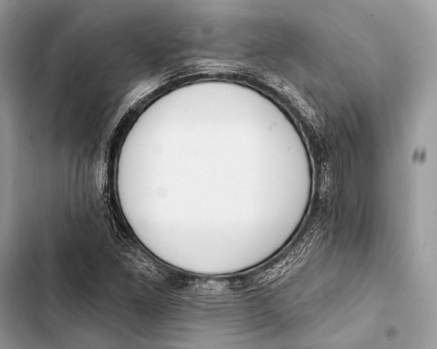 X0000103491261200810031557