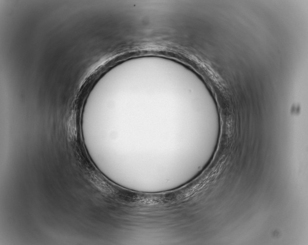 X0000103491262200810031557