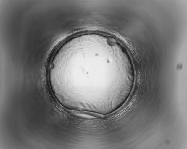 X0000103491263200810031557