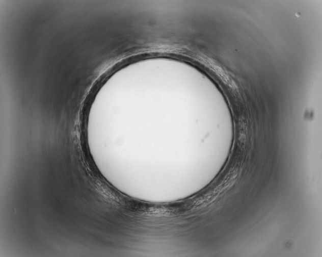 X0000103491264200810031557