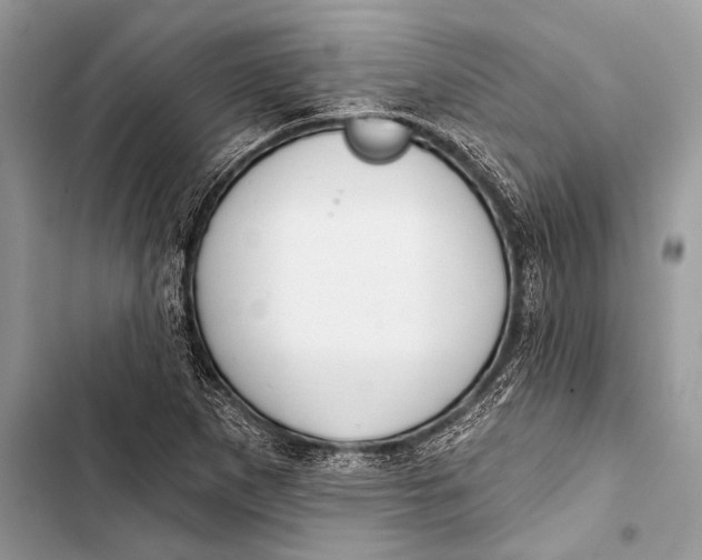 X0000103491265200810031557