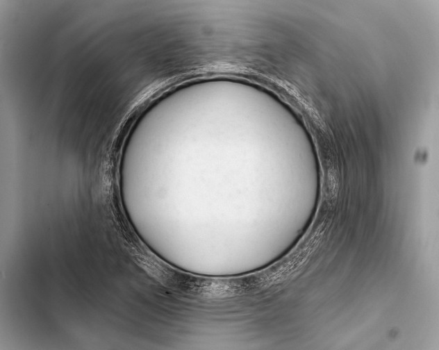 X0000103491266200810031557