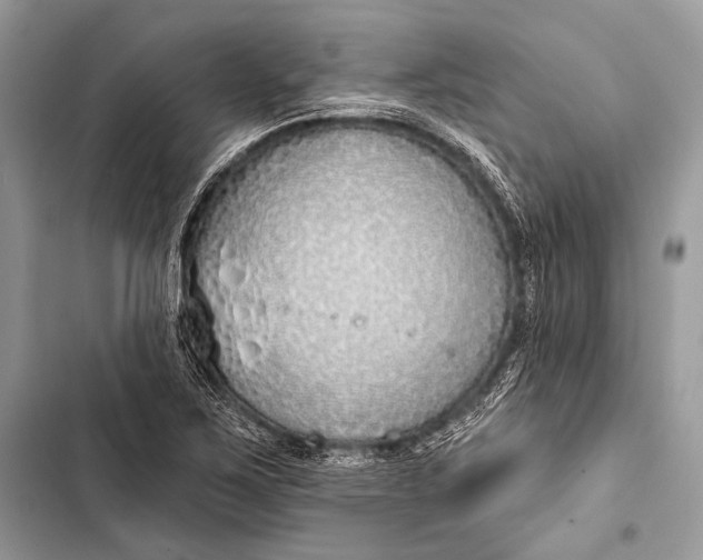 X0000103491267200810031557