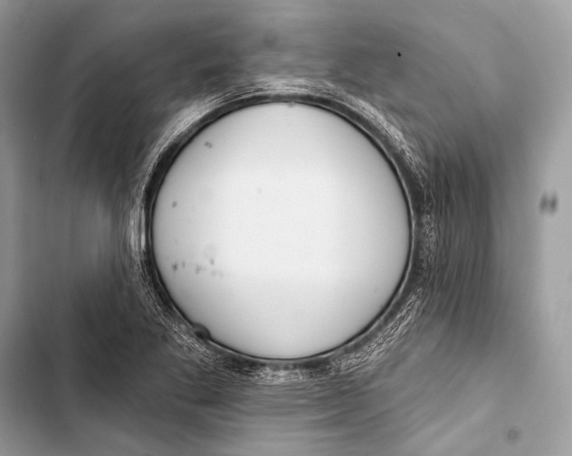 X0000103491269200810031557