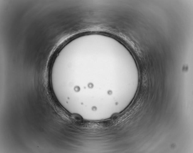 X0000103491270200810031557