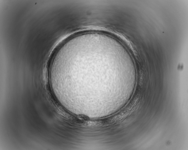 X0000103491271200810031557