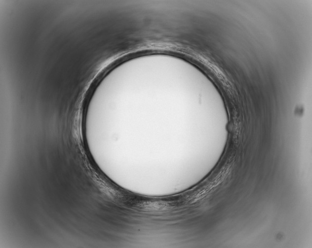 X0000103491272200810031557