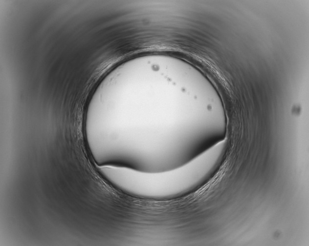 X0000103491273200810031557