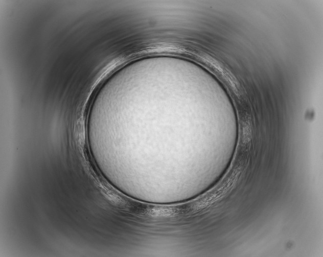 X0000103491274200810031557