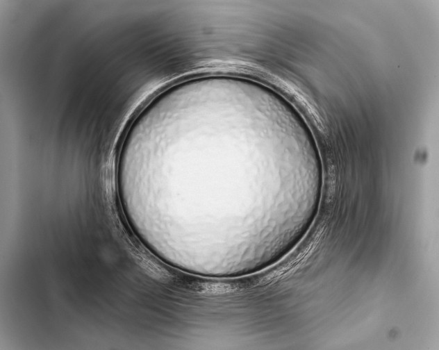 X0000103491275200810031557