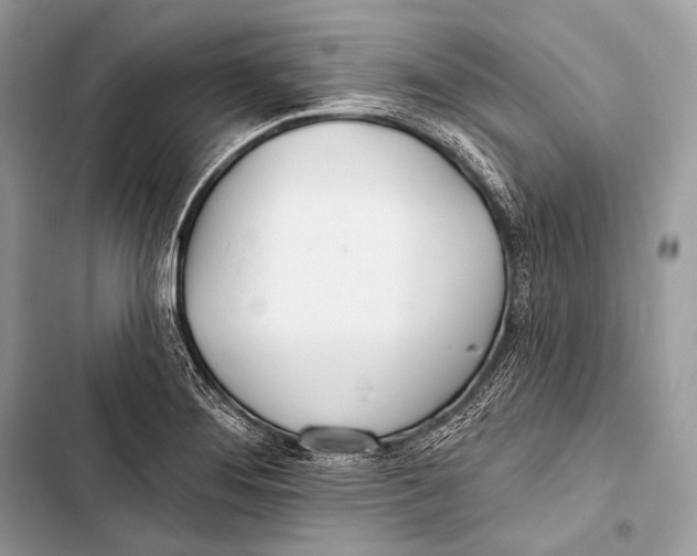 X0000103491276200810031557