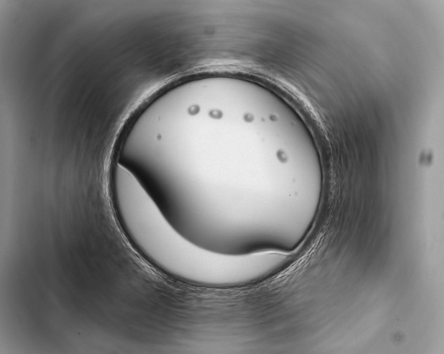 X0000103491277200810031557