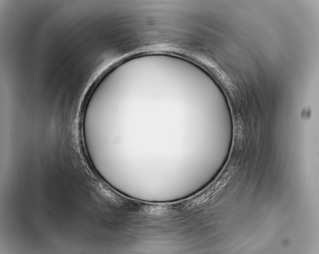 X0000103491278200810031557