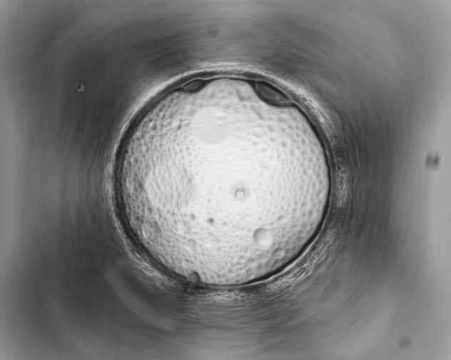 X0000103491279200810031557