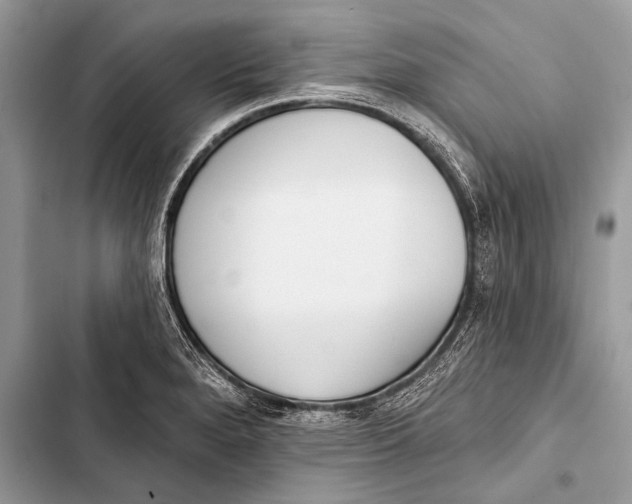 X0000103491280200810031557