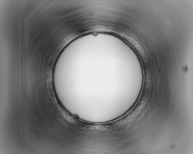 X0000103491281200810031557