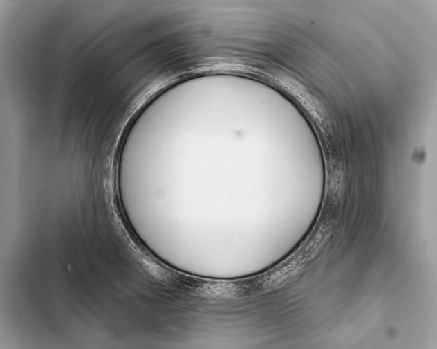 X0000103491282200810031557