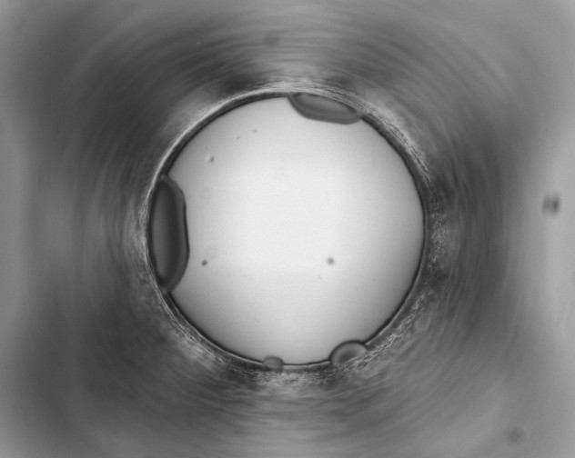 X0000103491284200810031557