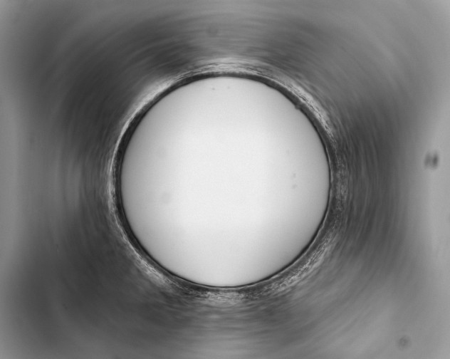 X0000103491285200810031557