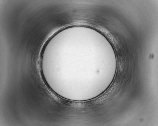 X0000103491286200810031557