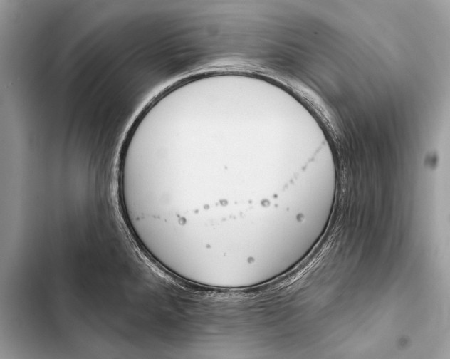 X0000103491288200810031557