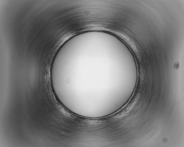 X0000103491289200810031557