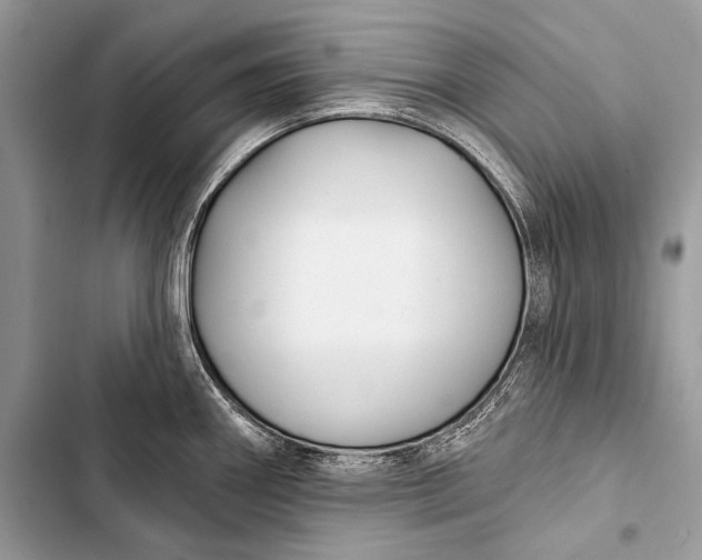 X0000103491290200810031557