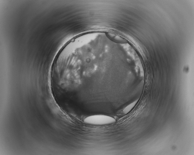 X0000103491291200810031557