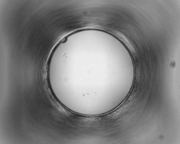 X0000103491292200810031557