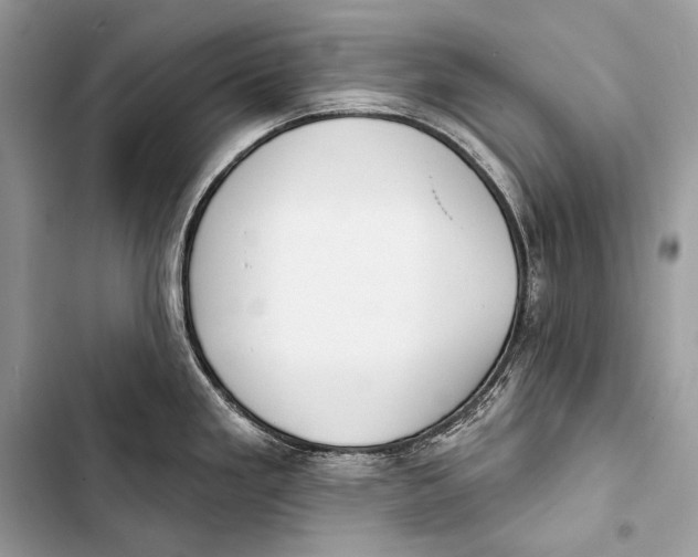 X0000103491293200810031557