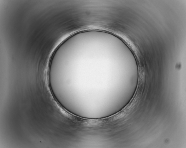 X0000103491294200810031557