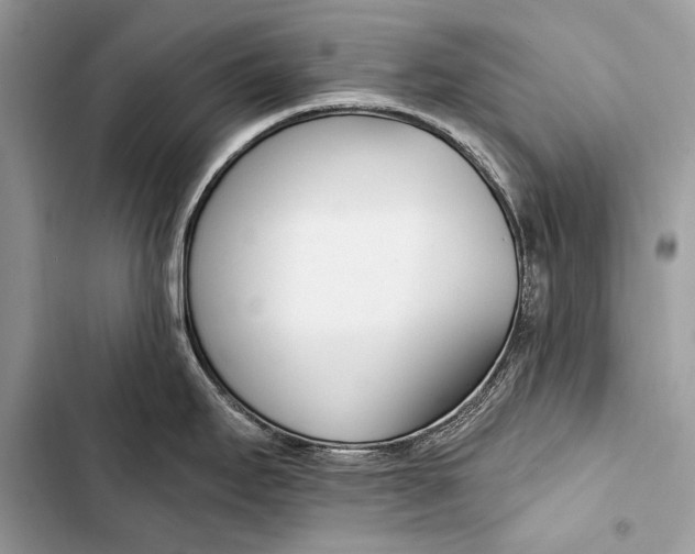 X0000103491295200810031557