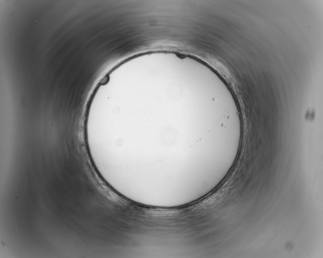 X0000103491296200810031557