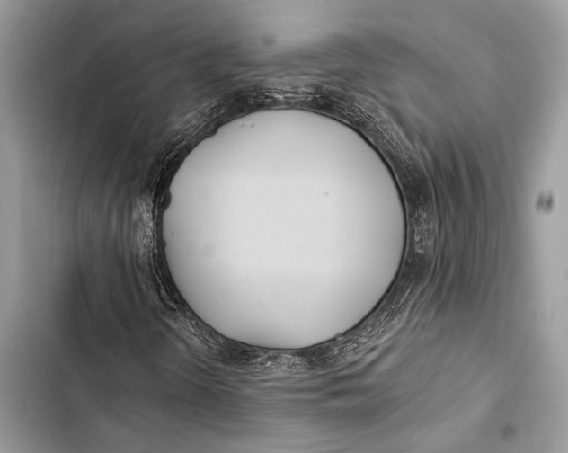 X0000103491298200810031556