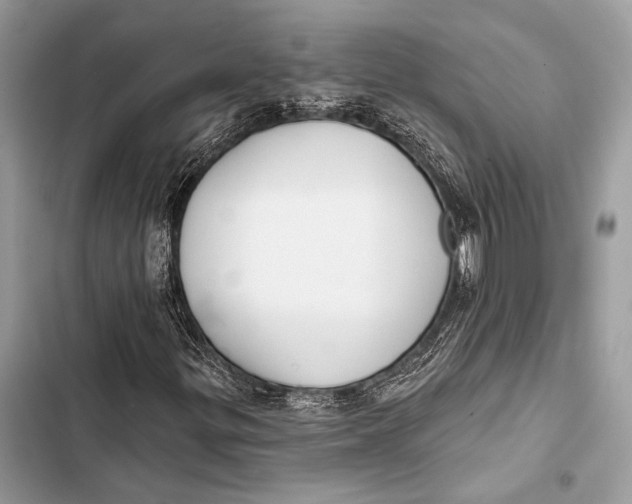 X0000103491299200810031556