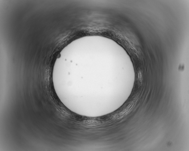 X0000103491300200810031556